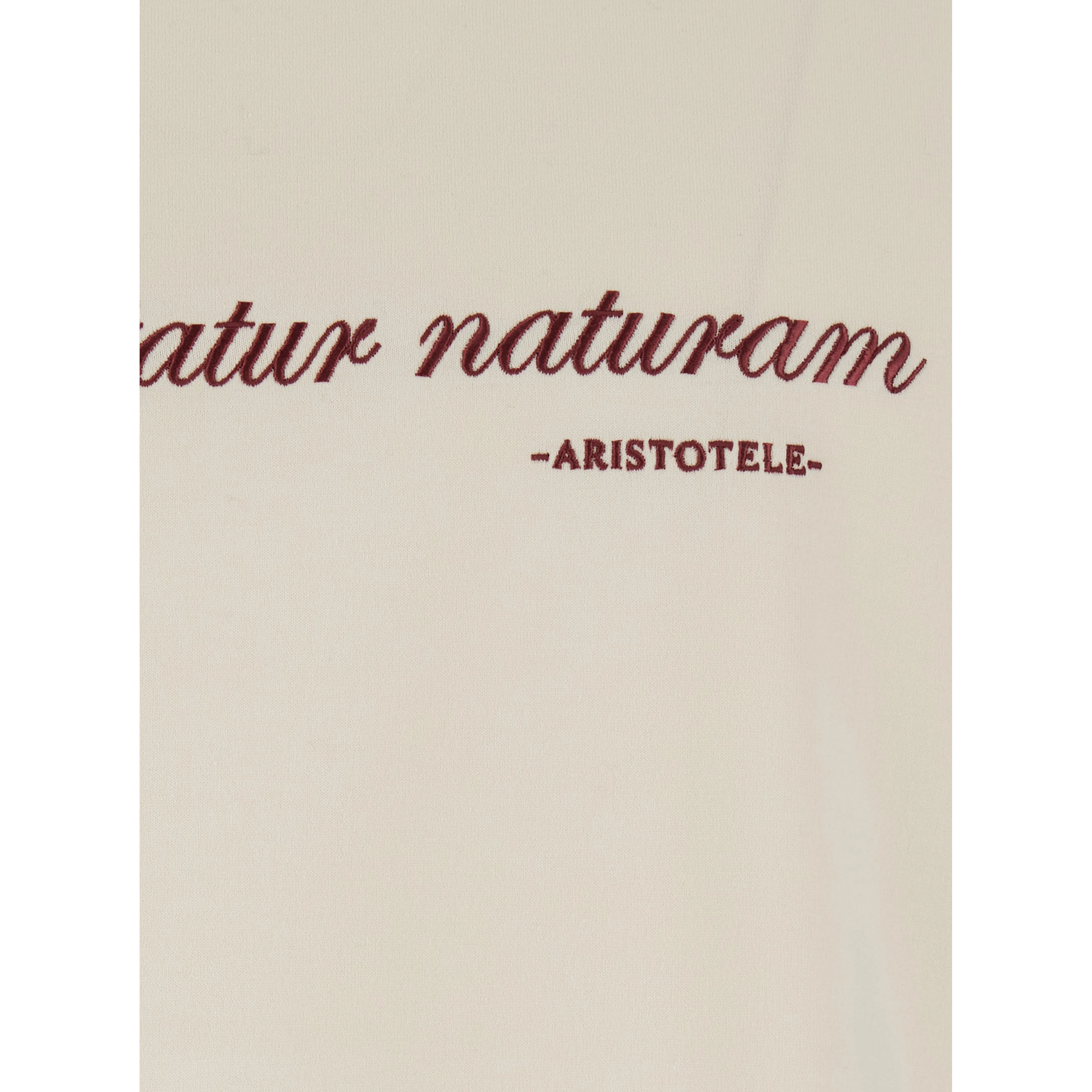 T-shirtconricamoestampa