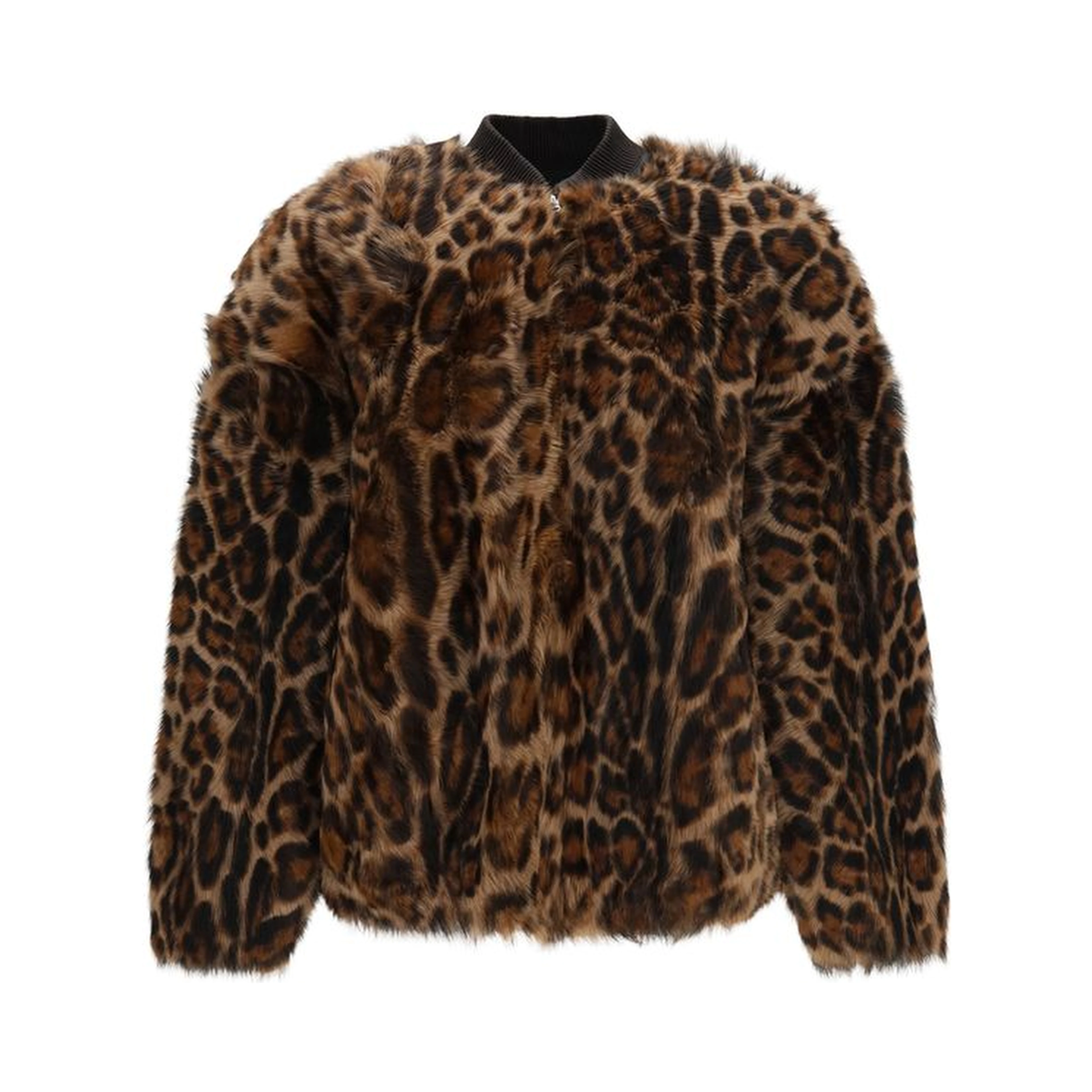 Brown Lamb Ovis Aries Bomber
