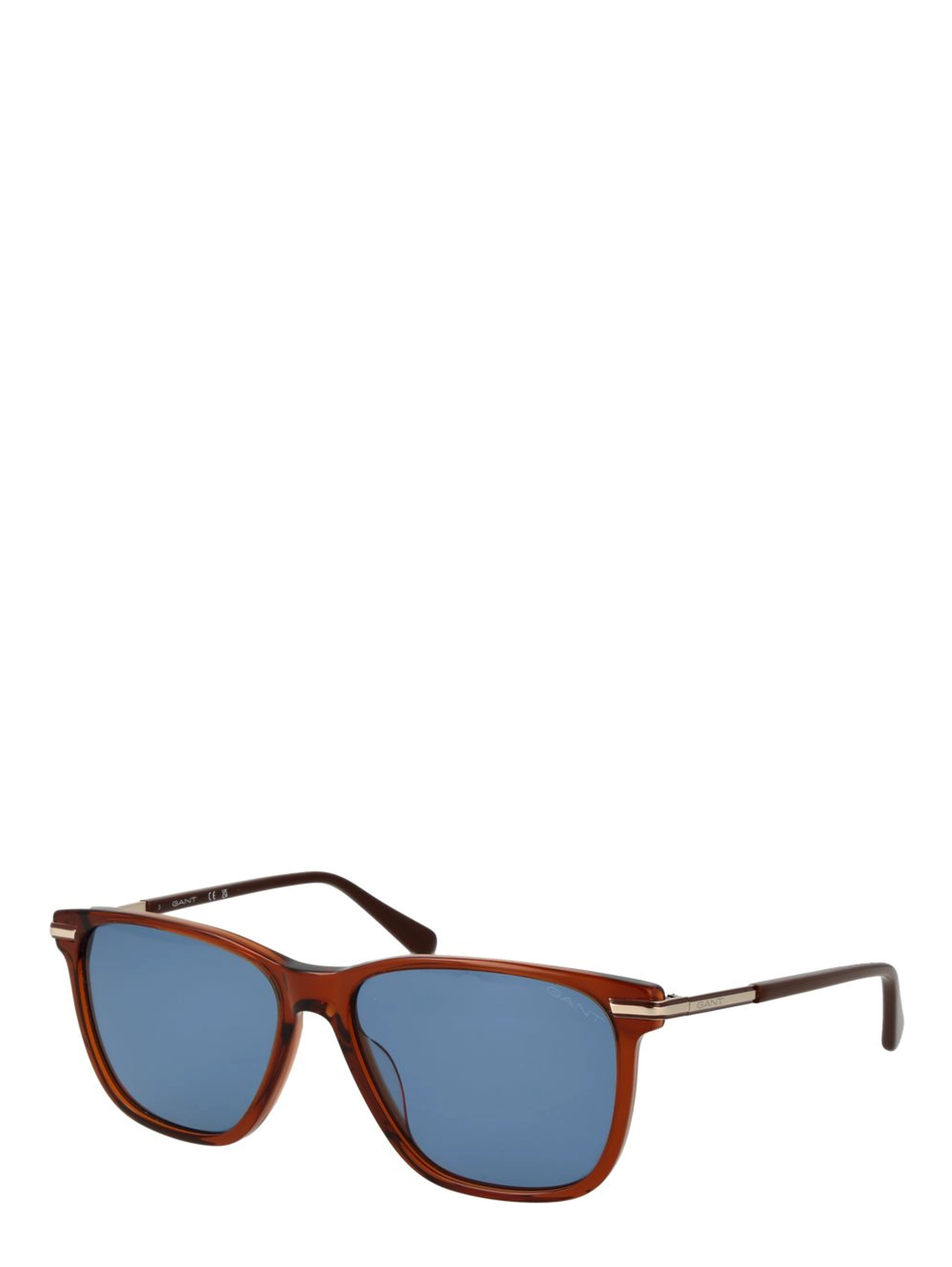 Brown Acetate Sunglasses