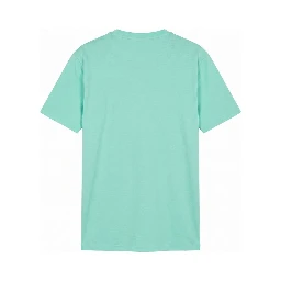 Green Cotton Men T-Shirt