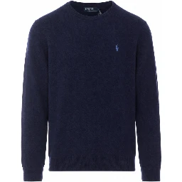 Polo Ralph Lauren Sweaters Blue