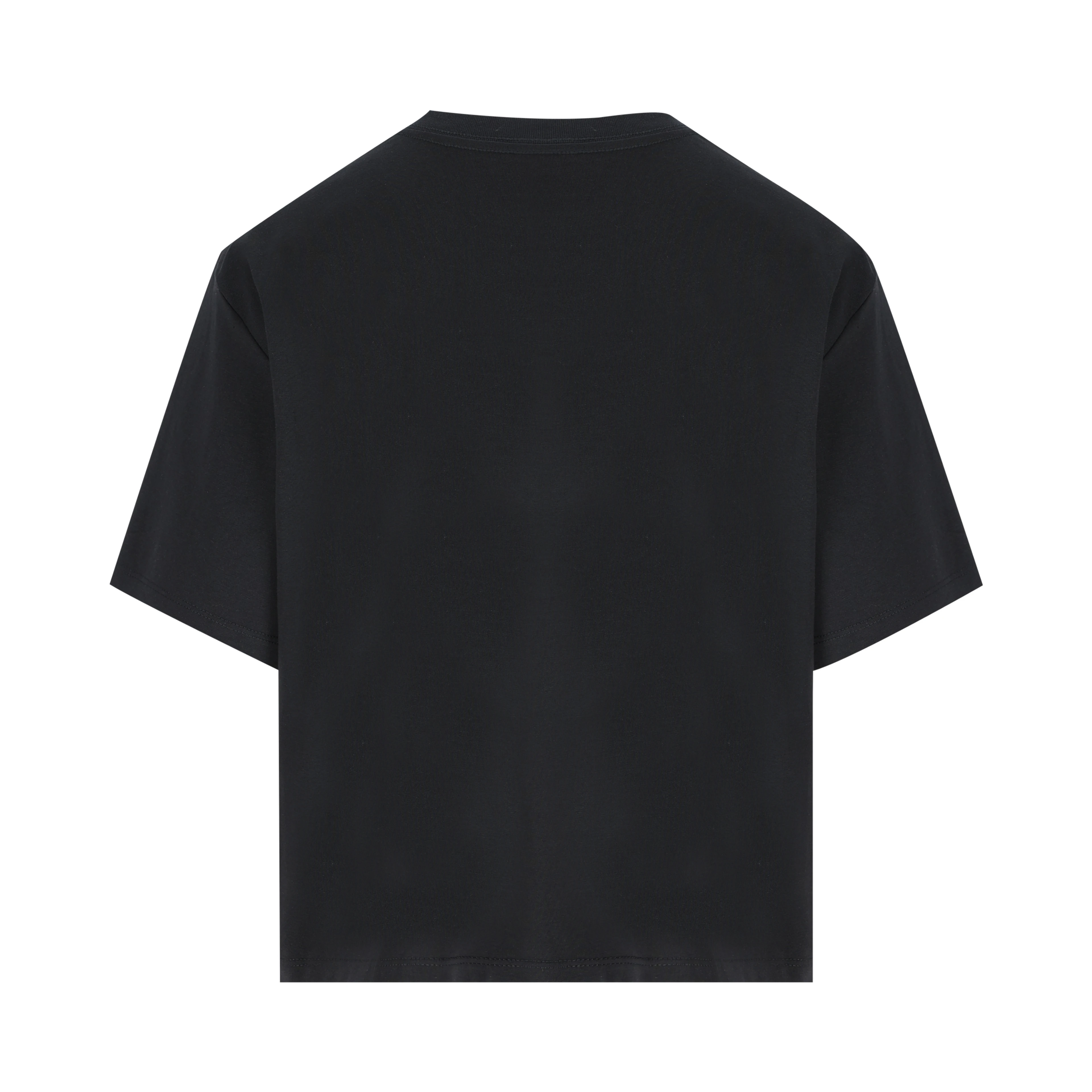 THE NORTH FACE T-shirts and Polos Black