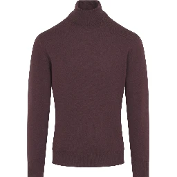 TURTLENECK