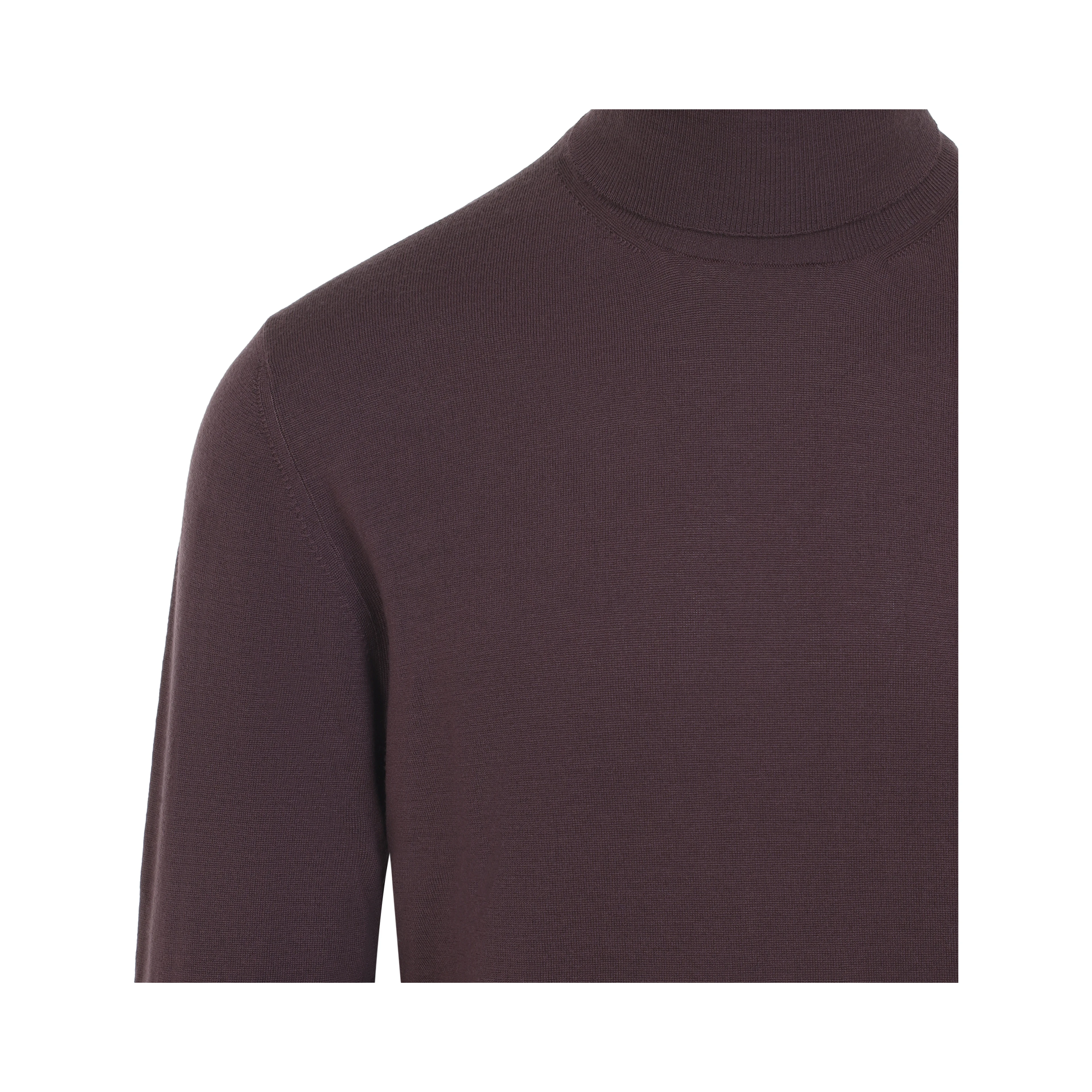 TURTLENECK
