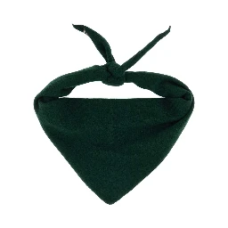 n°35 BANDANA - E37 - SCARFS