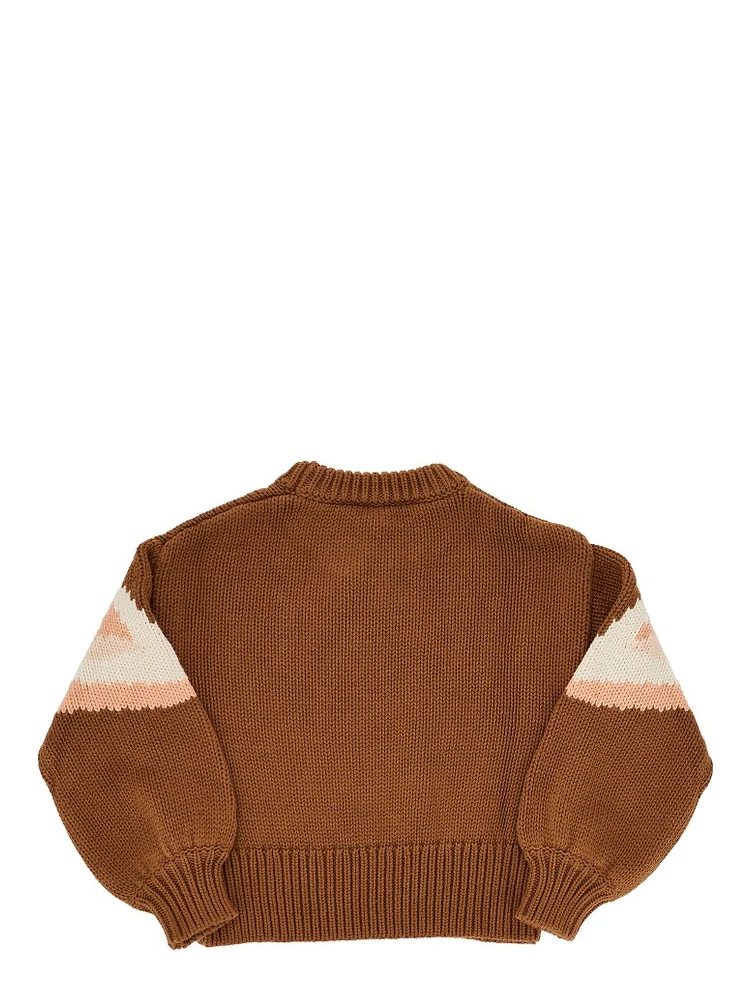 Flamingos intarsia sweater alternative