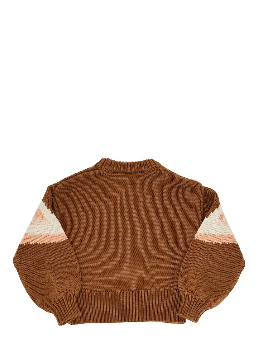 Flamingos intarsia sweater