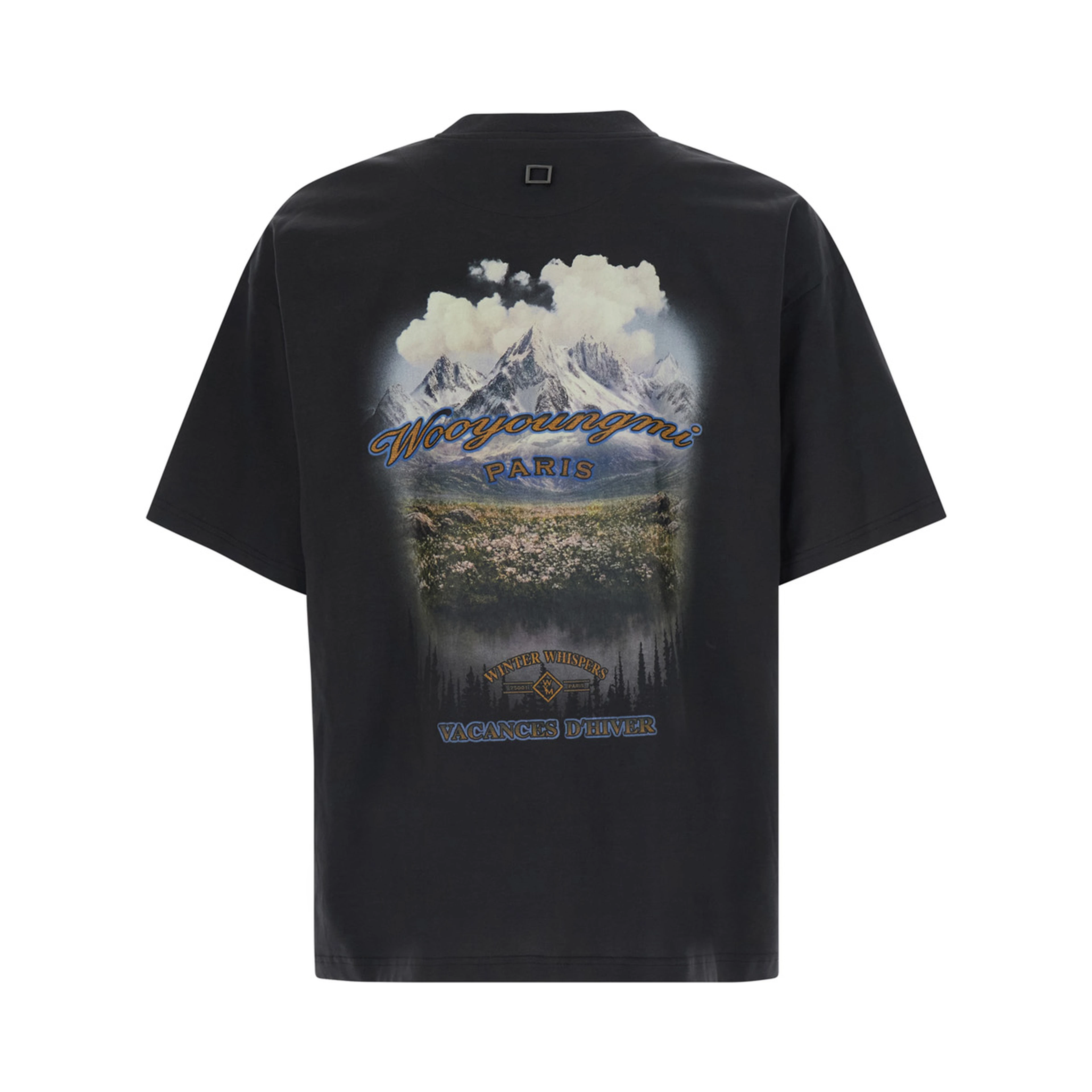Round neck short sleeve cotton gray T-shirt for men