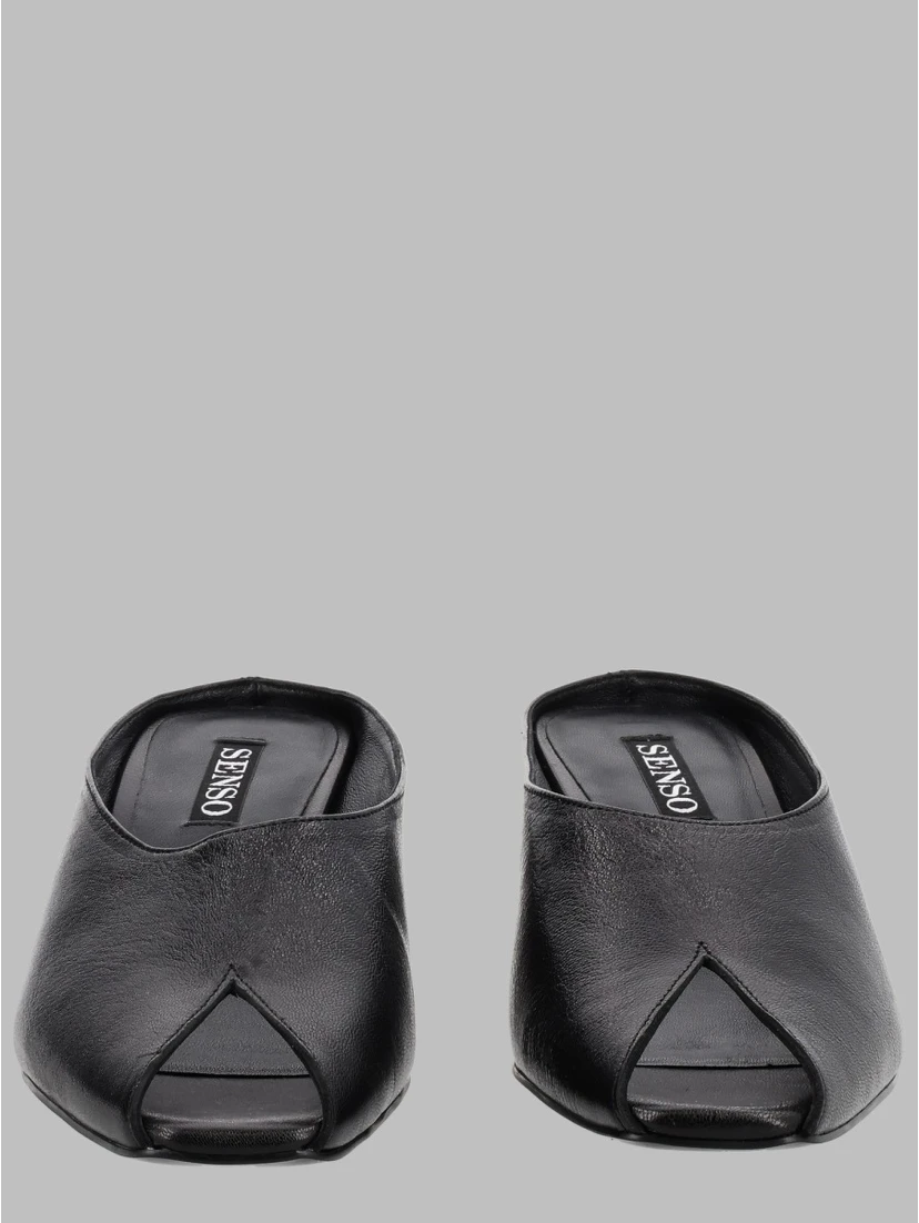 Mule "Klayrice"