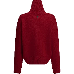 Wool Turtleneck Sweater