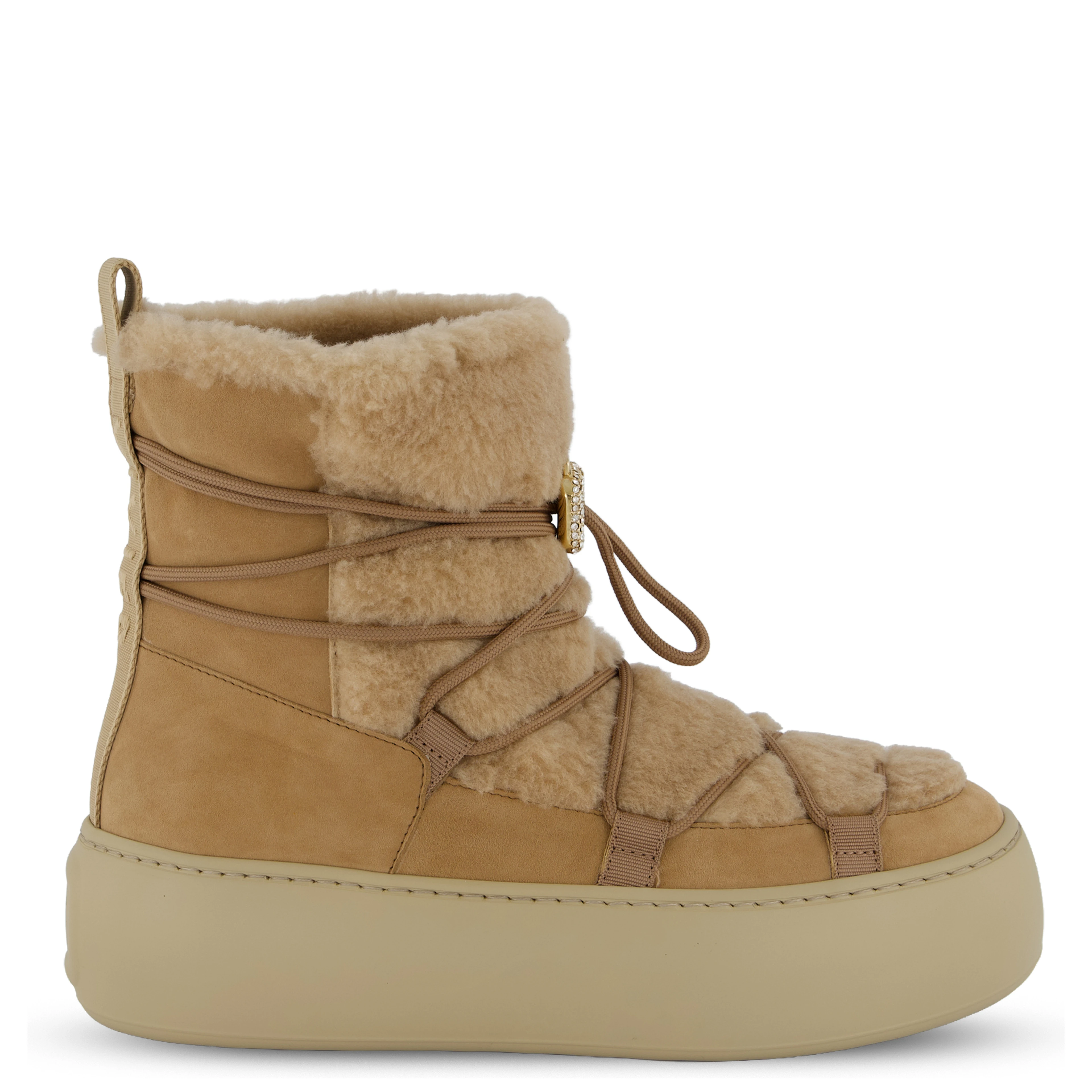 Roger Vivier Boots