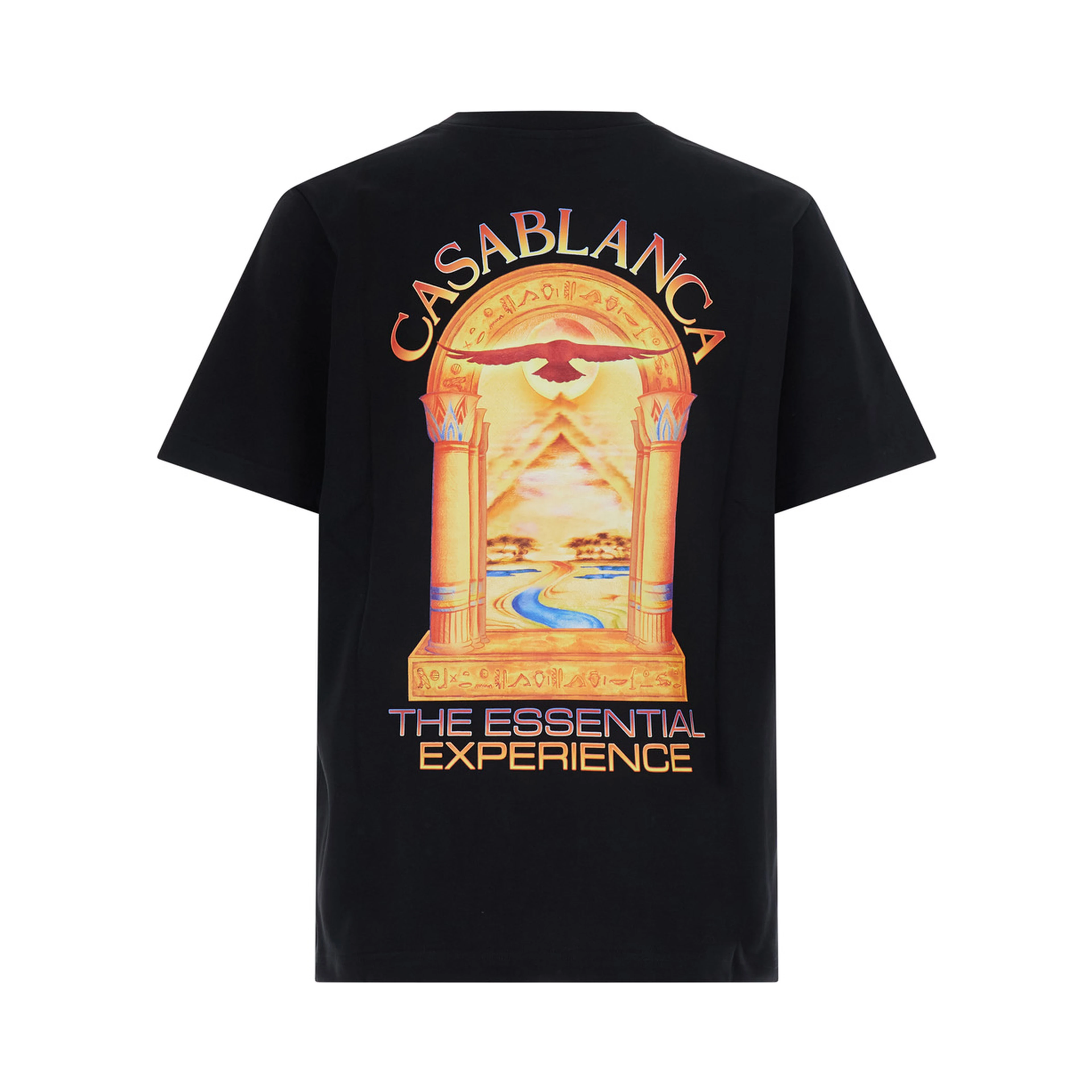 Black Crew neck T-shirt with logo detail on the front and maxi logo on the back in cotton for men
