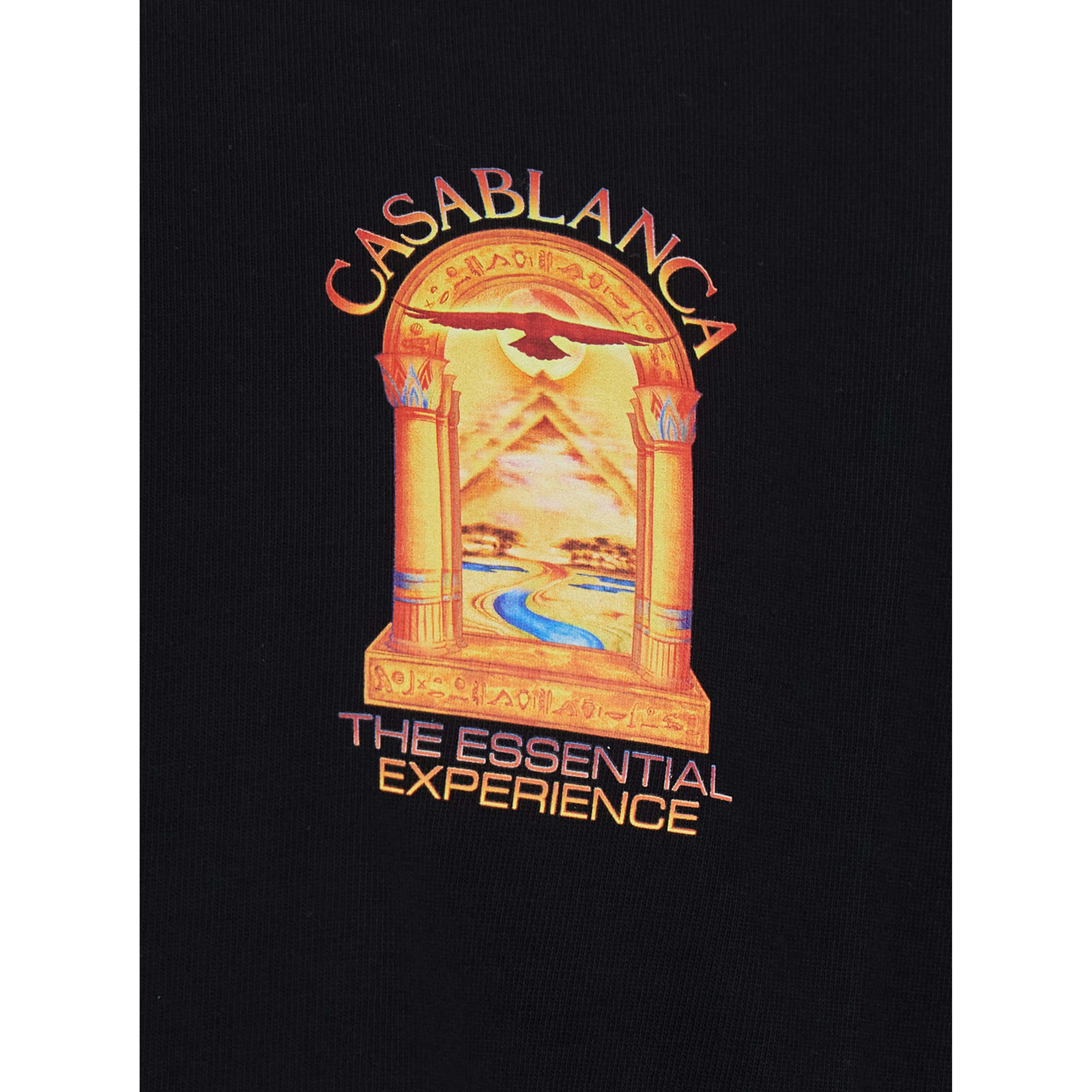 Black Crew neck T-shirt with logo detail on the front and maxi logo on the back in cotton for men