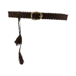 Twin-set Belts
