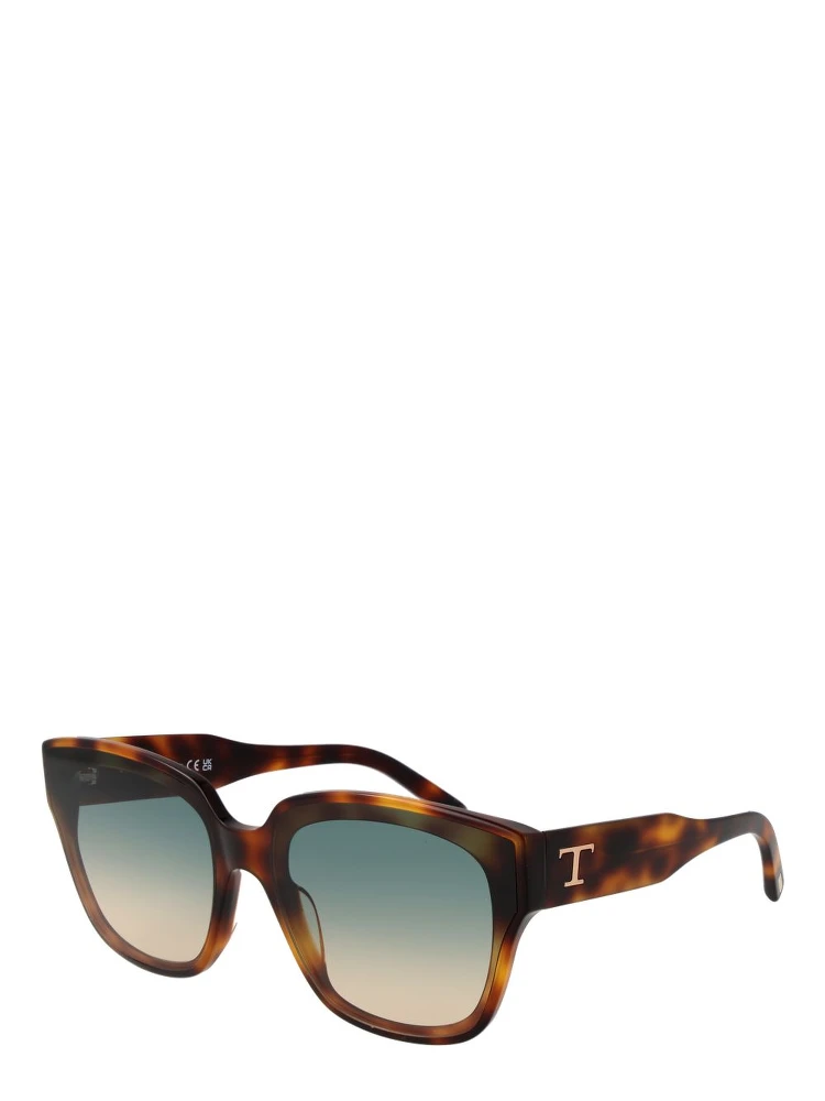 Brown Acetate Sunglasses