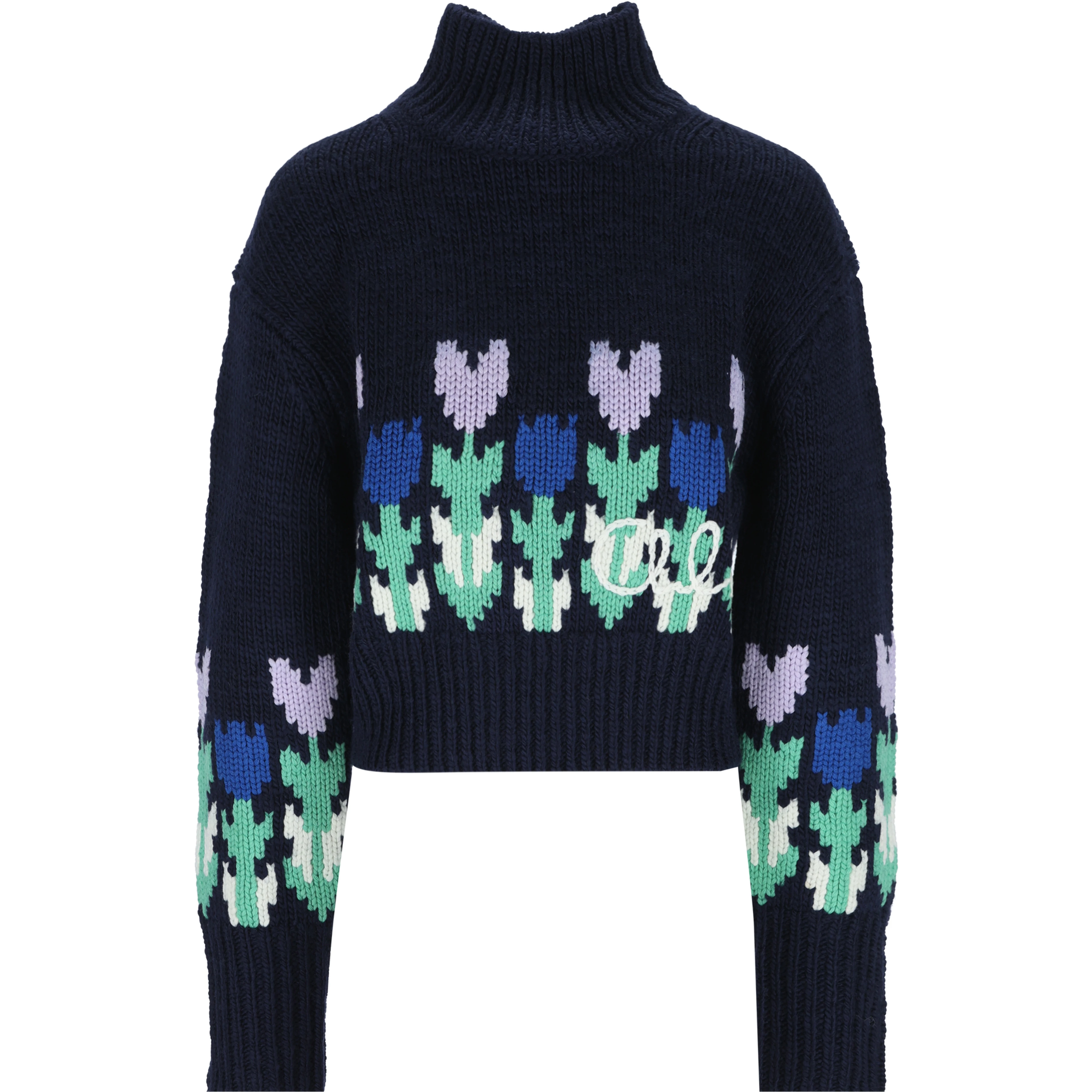 Chloè Sweaters Blue