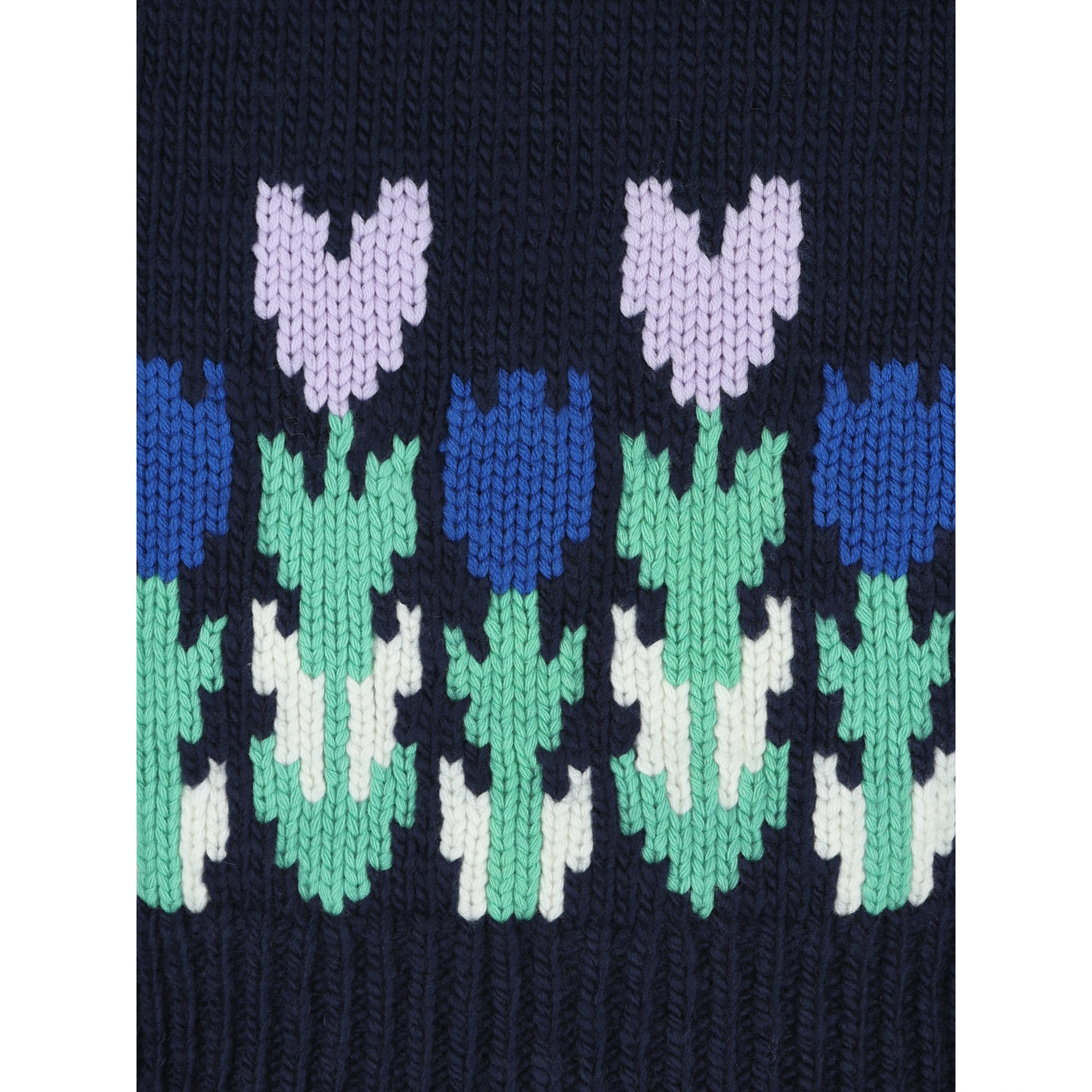 Chloè Sweaters Blue