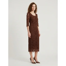 Brown lace midi sheath dress