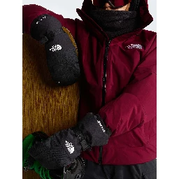 The North Face Gloves