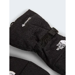 The North Face Gloves