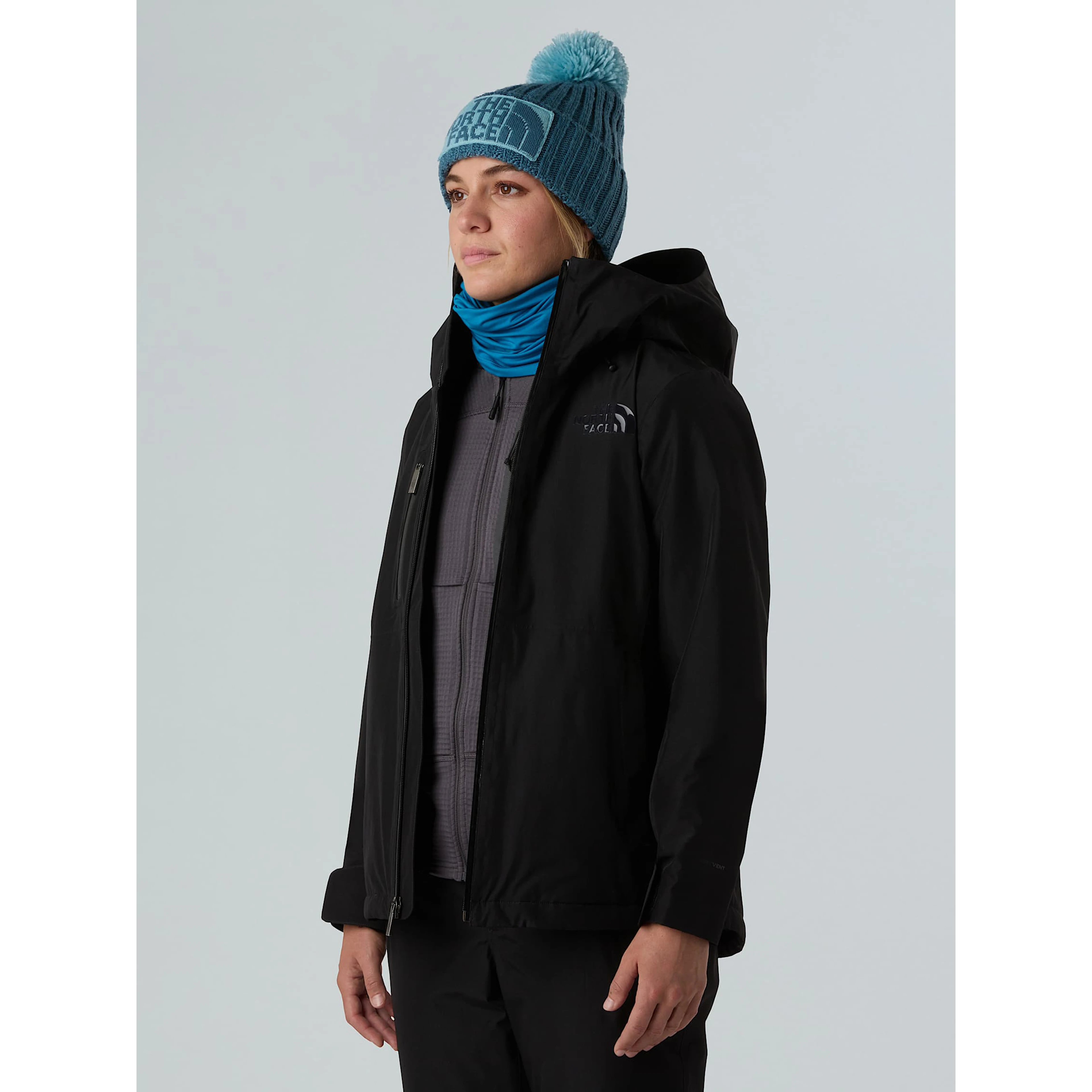The North Face Jackets