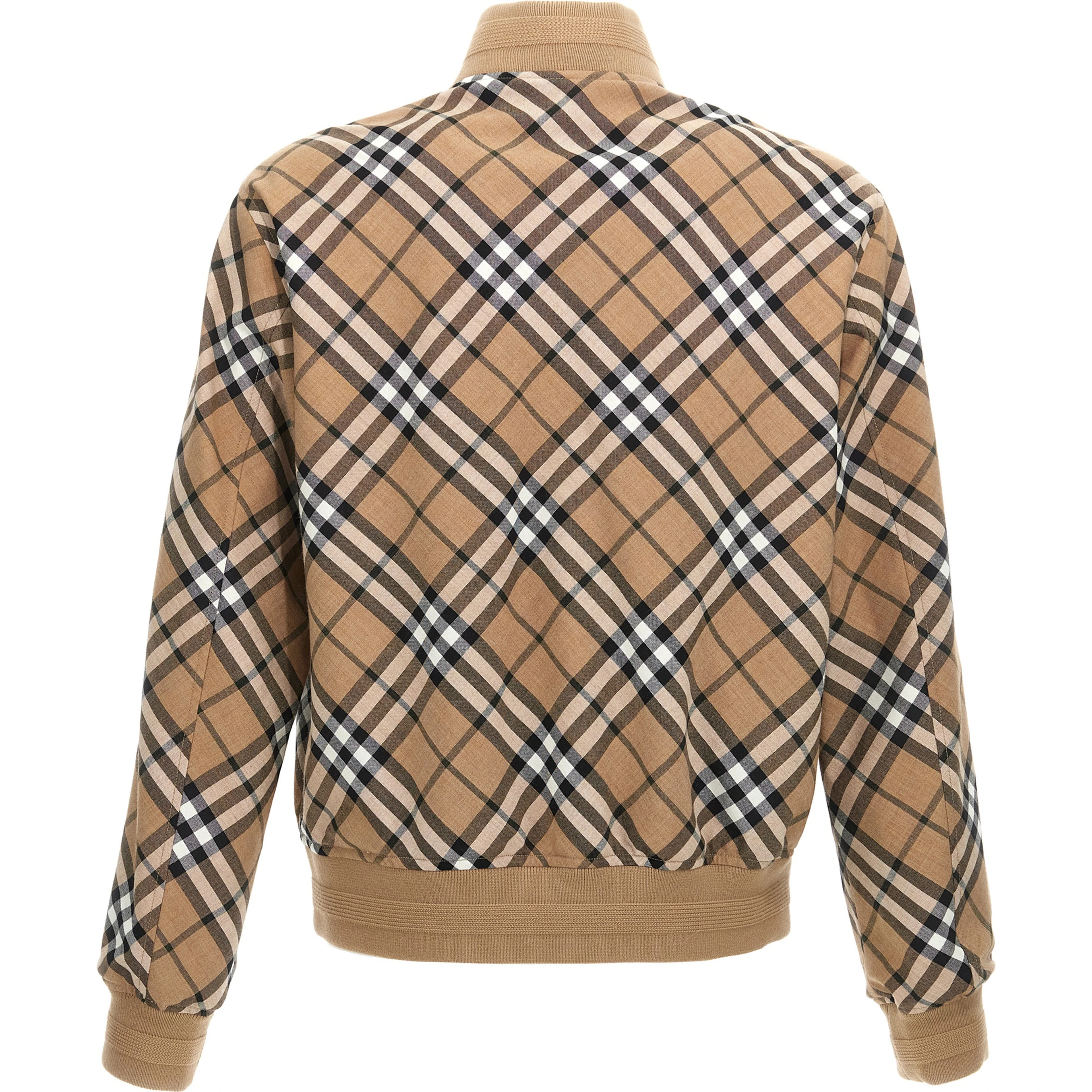 Multicolor Polyester Bomber