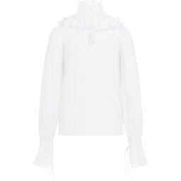 Elisabetta Franchi Blouse