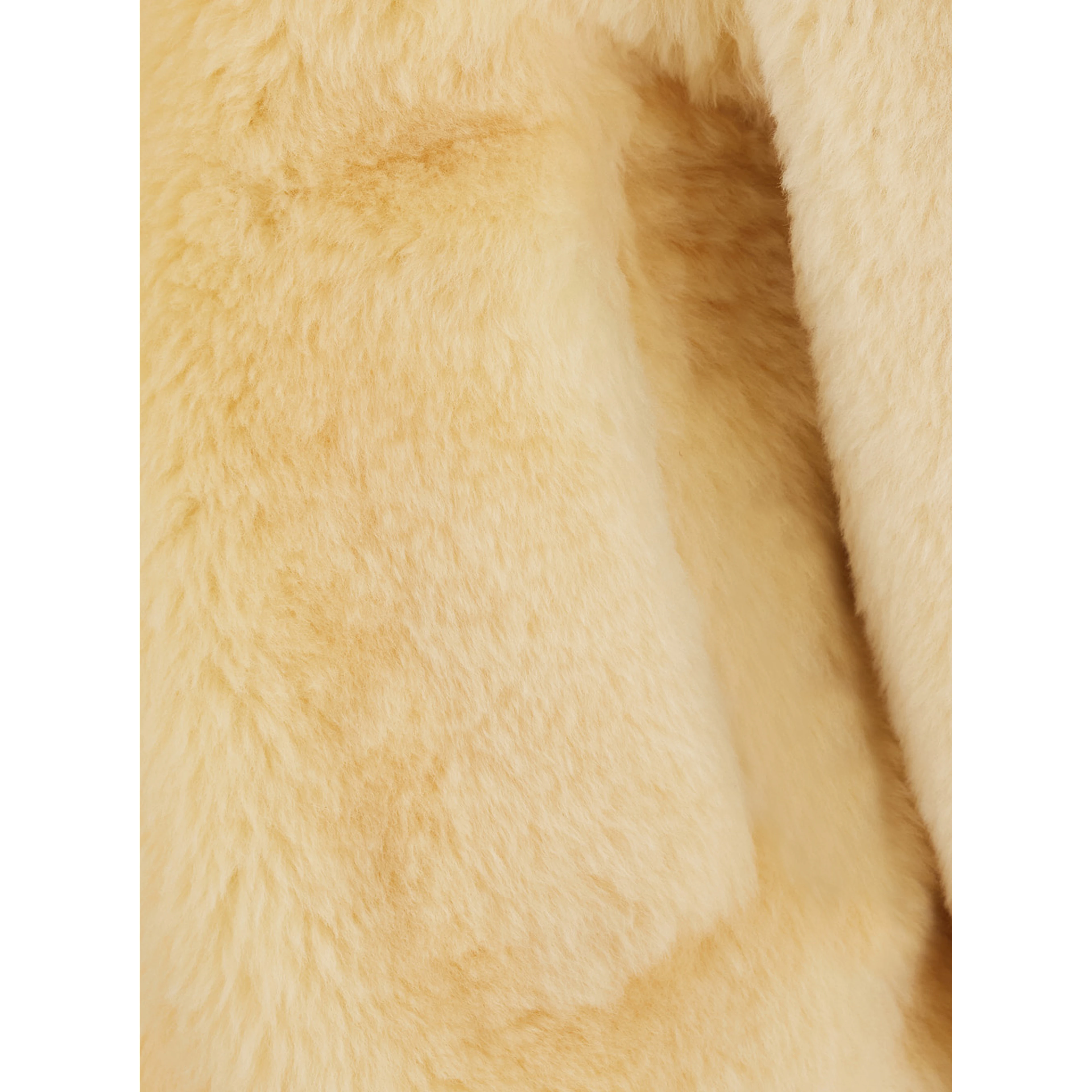 TEDDY STRAIGHT SHEARLING BLOUSON LEATHER DETAILS