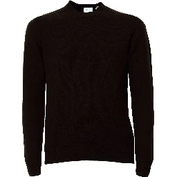 Maglia Girocollo In Lana Merino