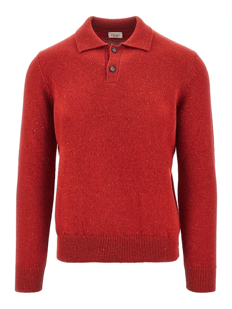 Merino wool polo sweater