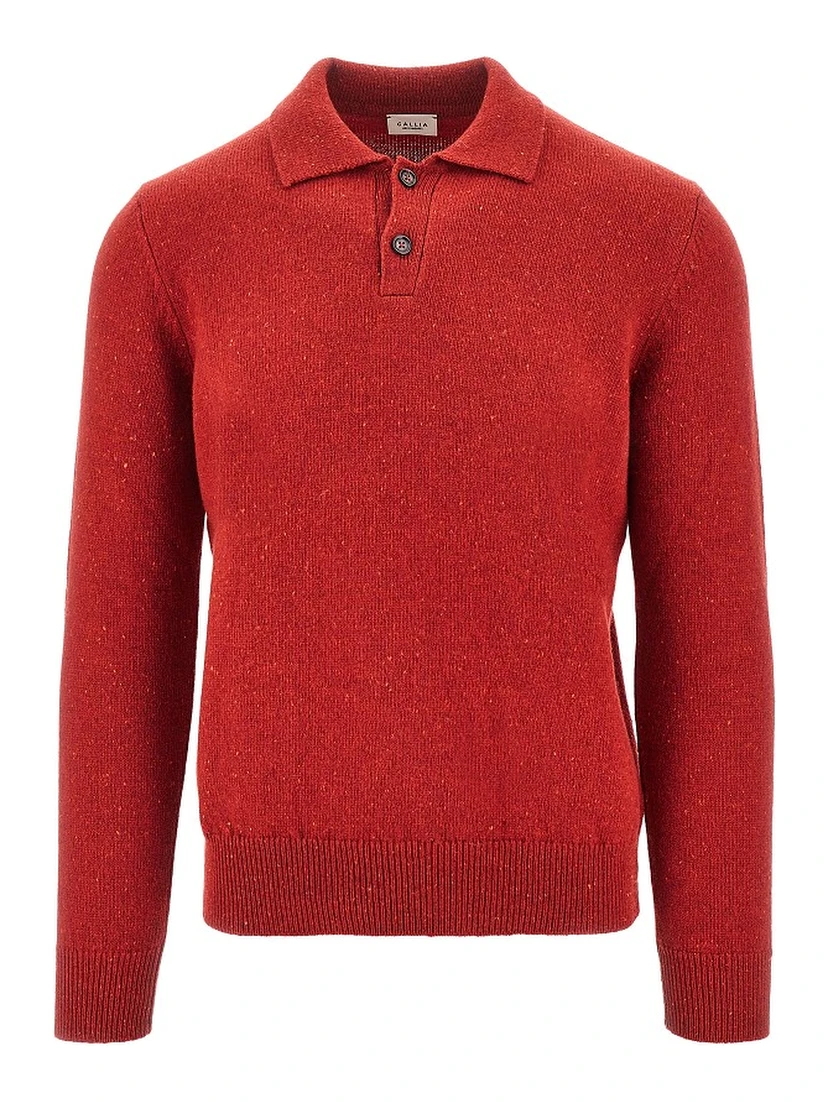 Merino wool polo sweater
