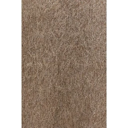 Beige Spandex Sweatshirt