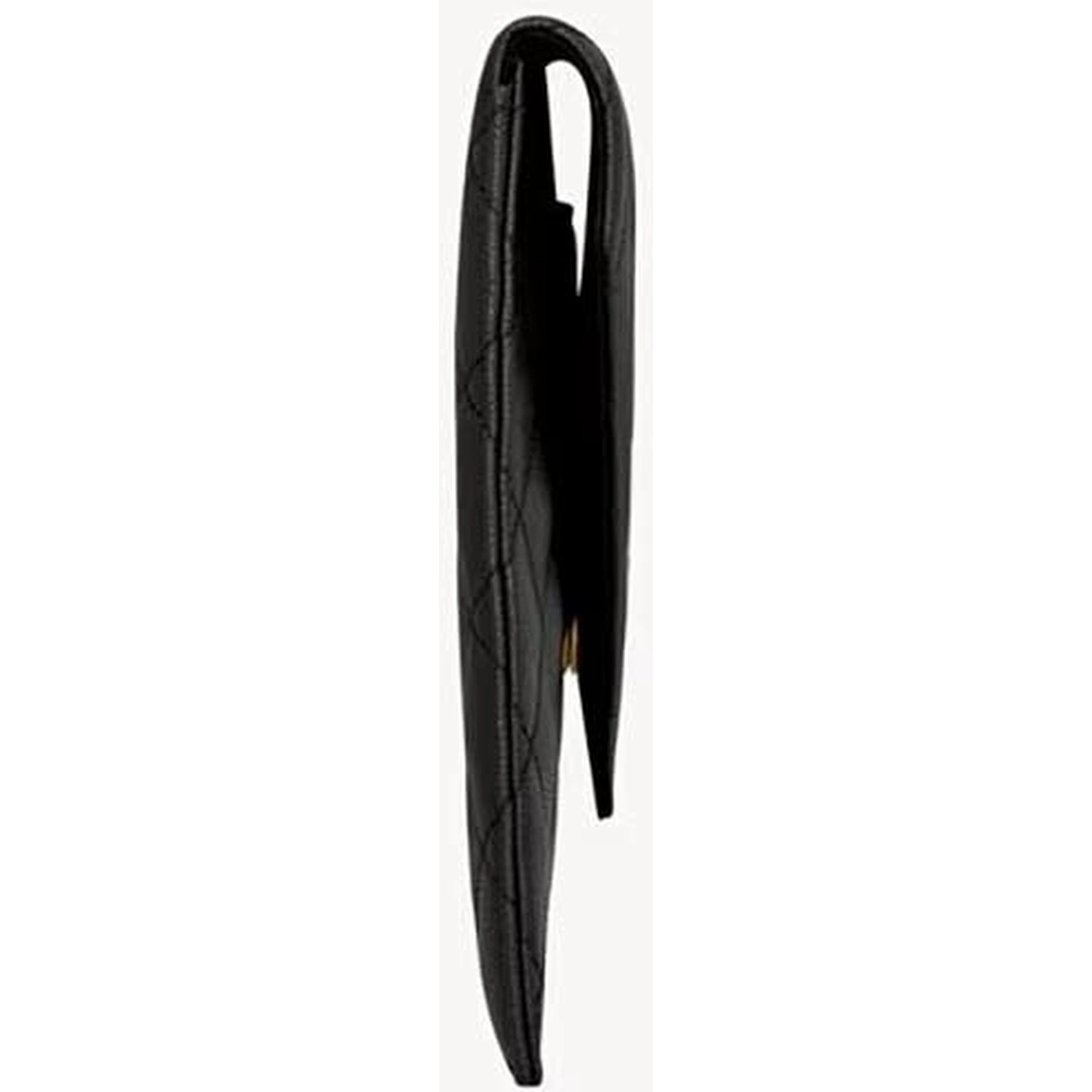 SAINT LAURENT PARIS POUCH handbag
