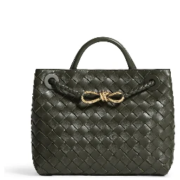 Bottega Veneta Andiamo Small Bag