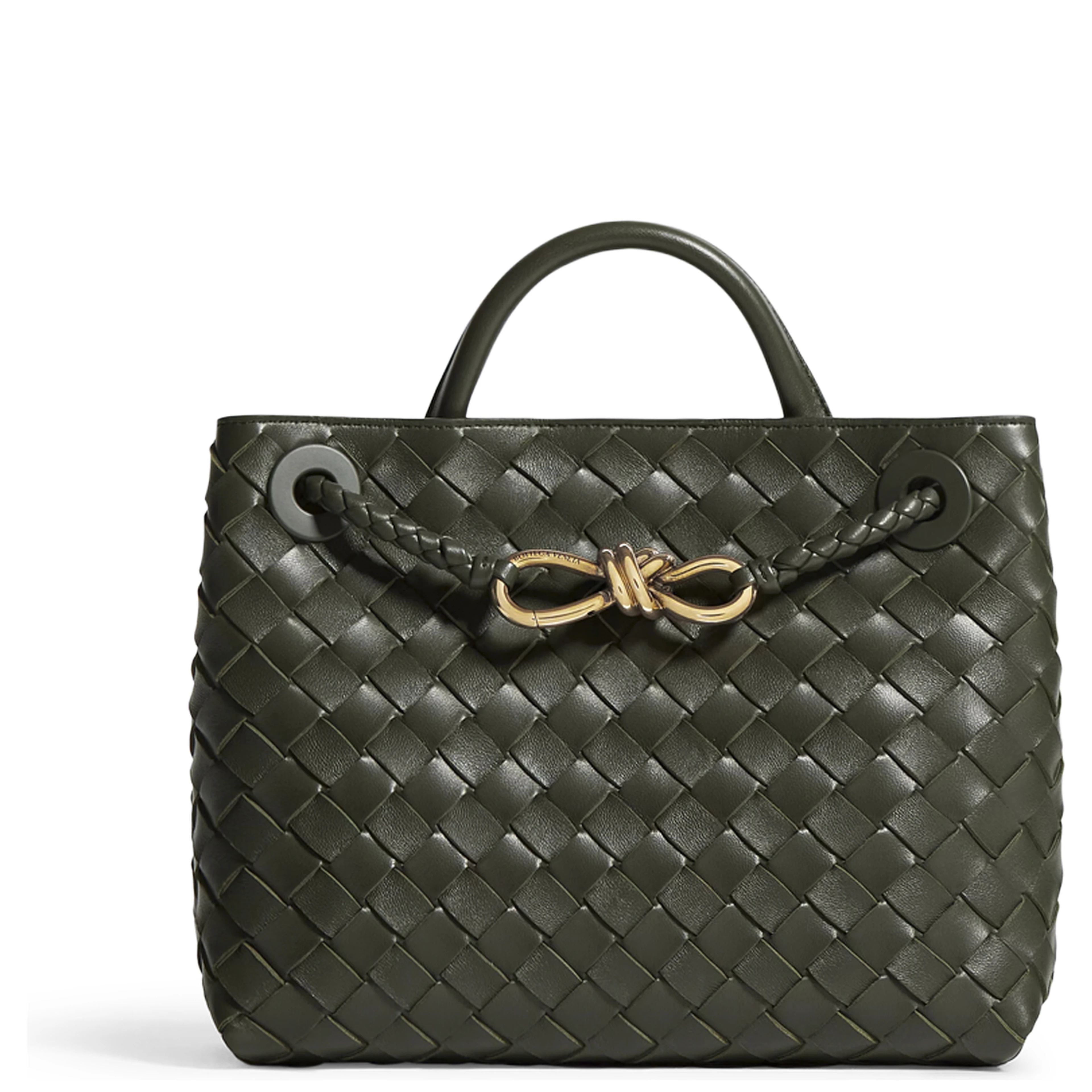 Bottega Veneta Andiamo Small Bag