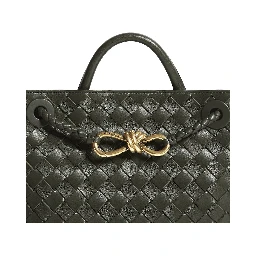 Bottega Veneta Andiamo Small Bag