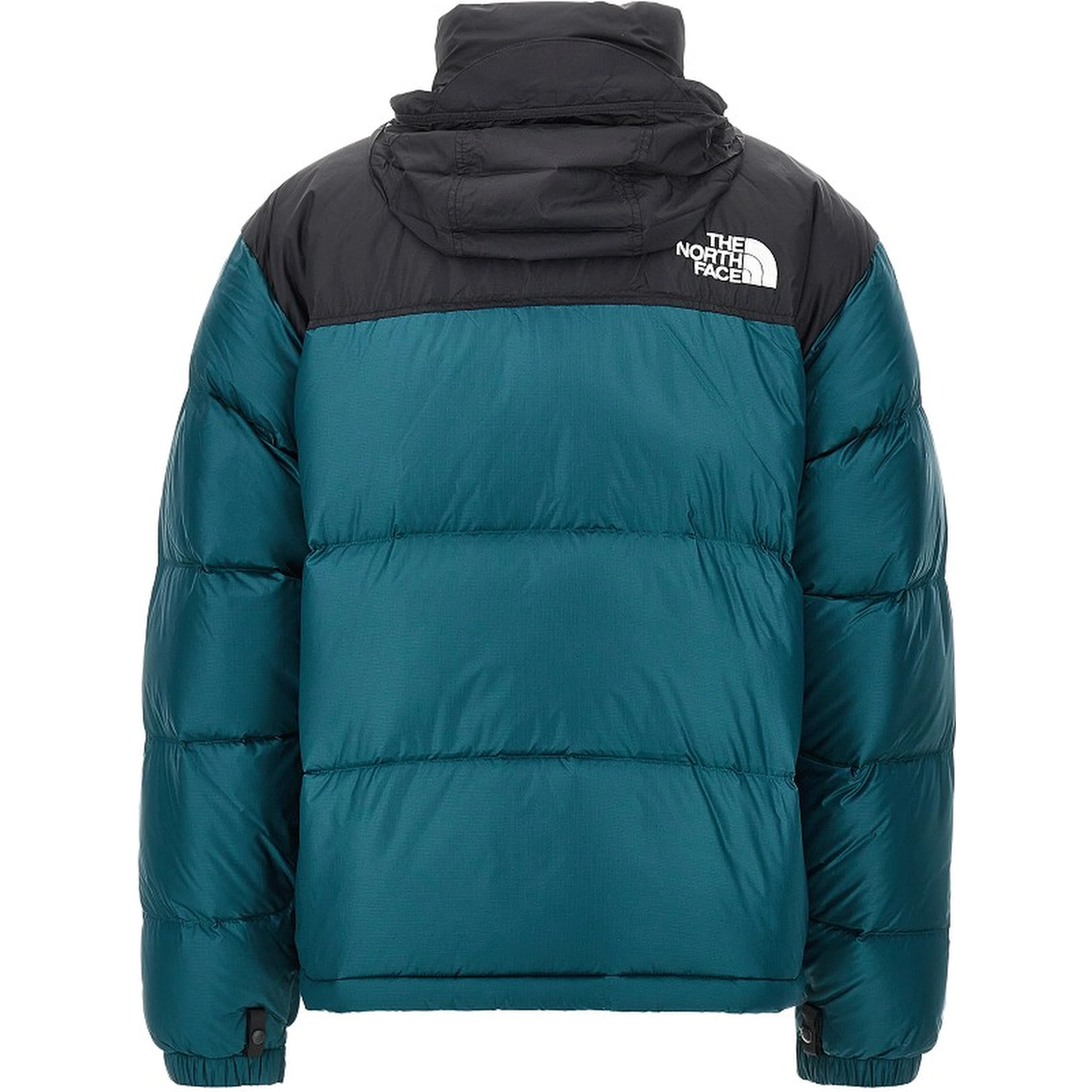 1996 Retro Nuptse down jacket