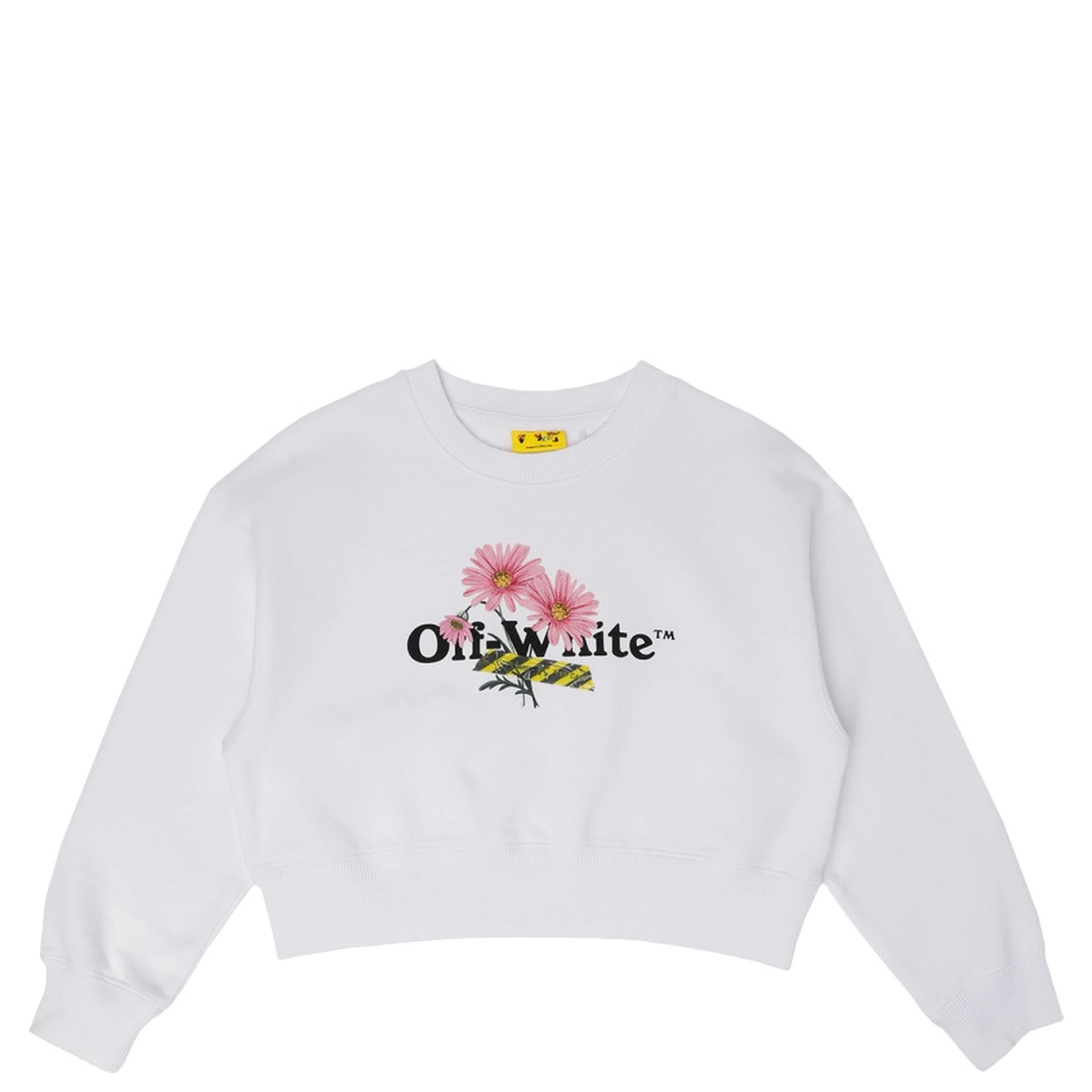daisy logo box crew