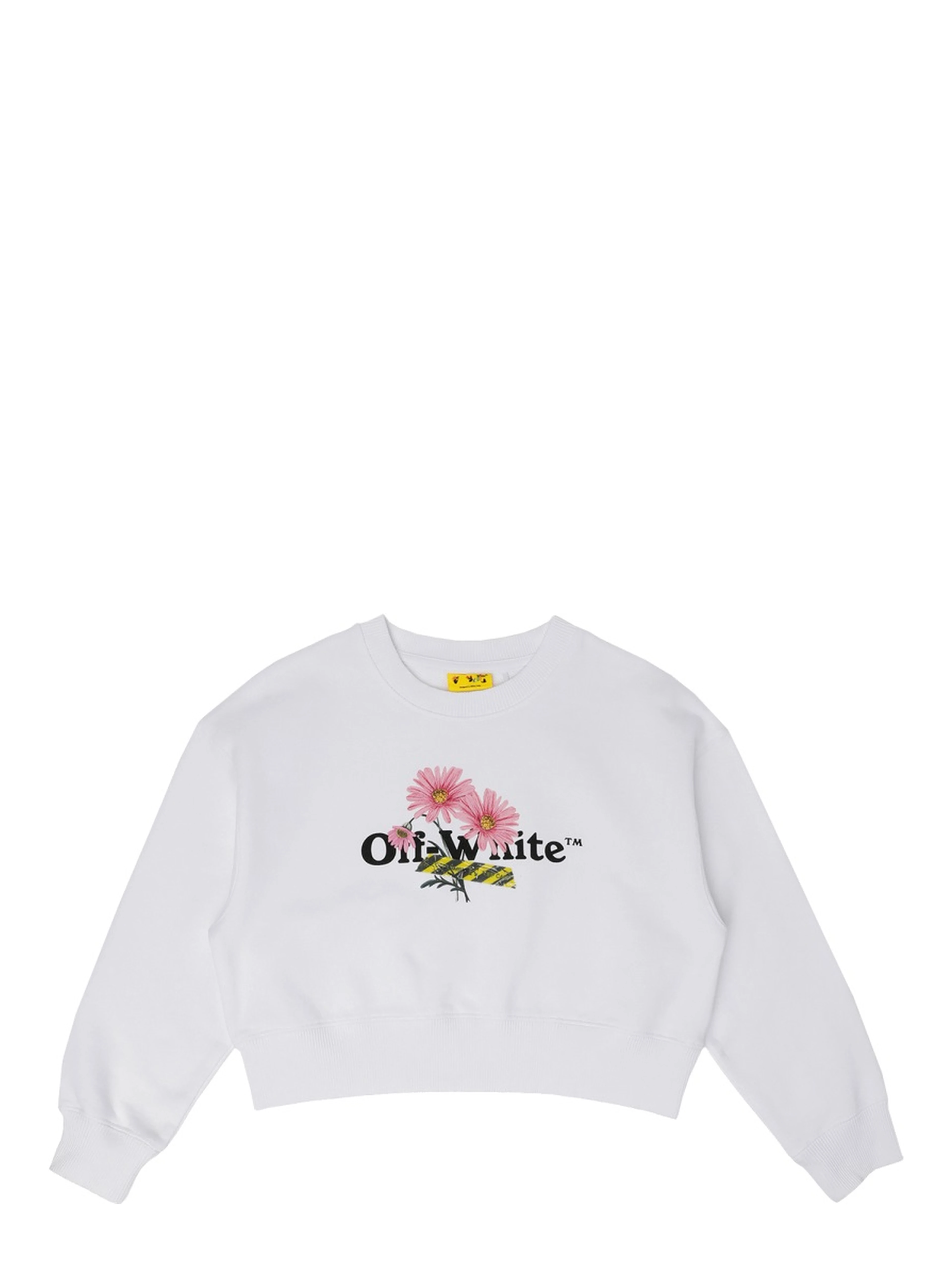 daisy logo box crew