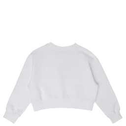 daisy logo box crew