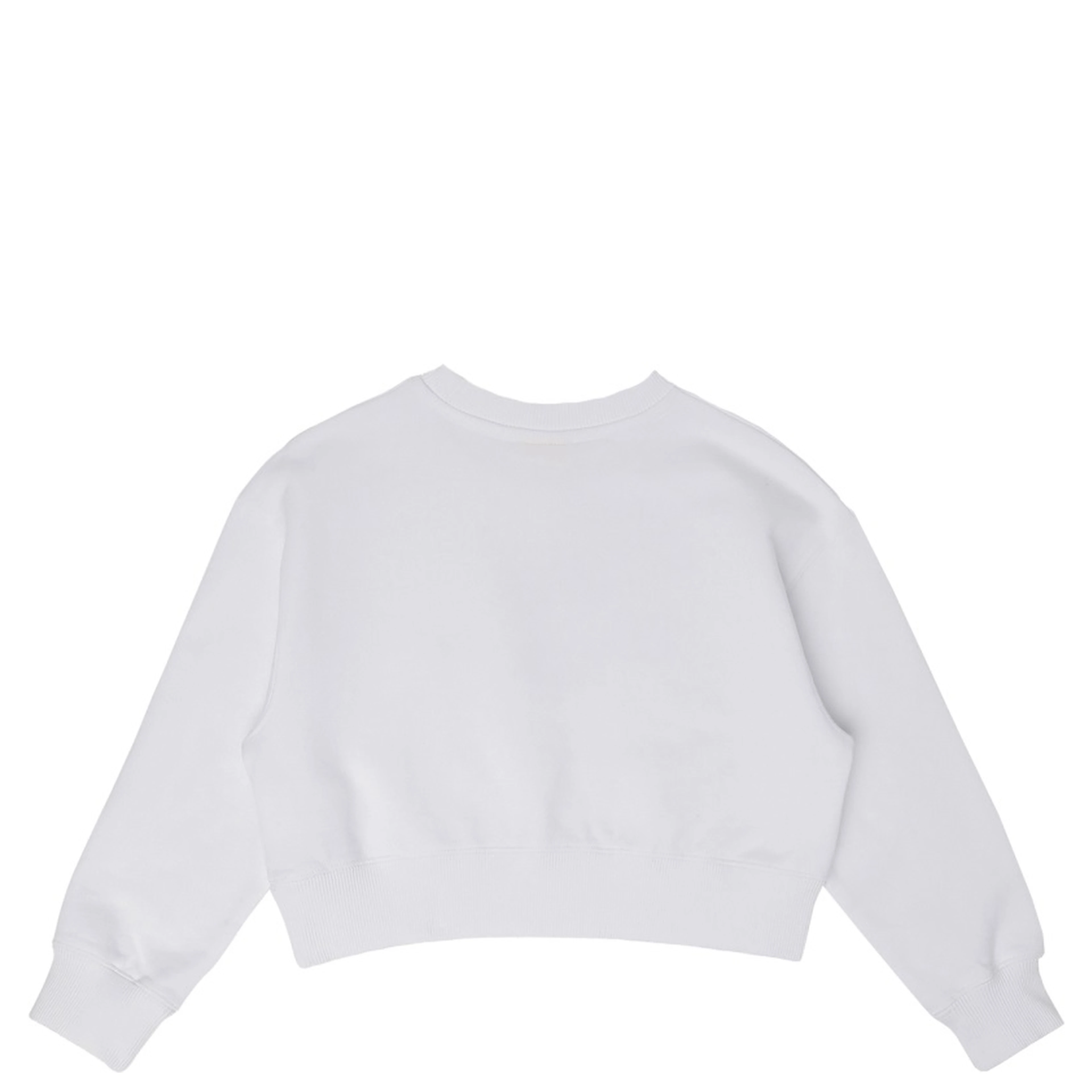 daisy logo box crew