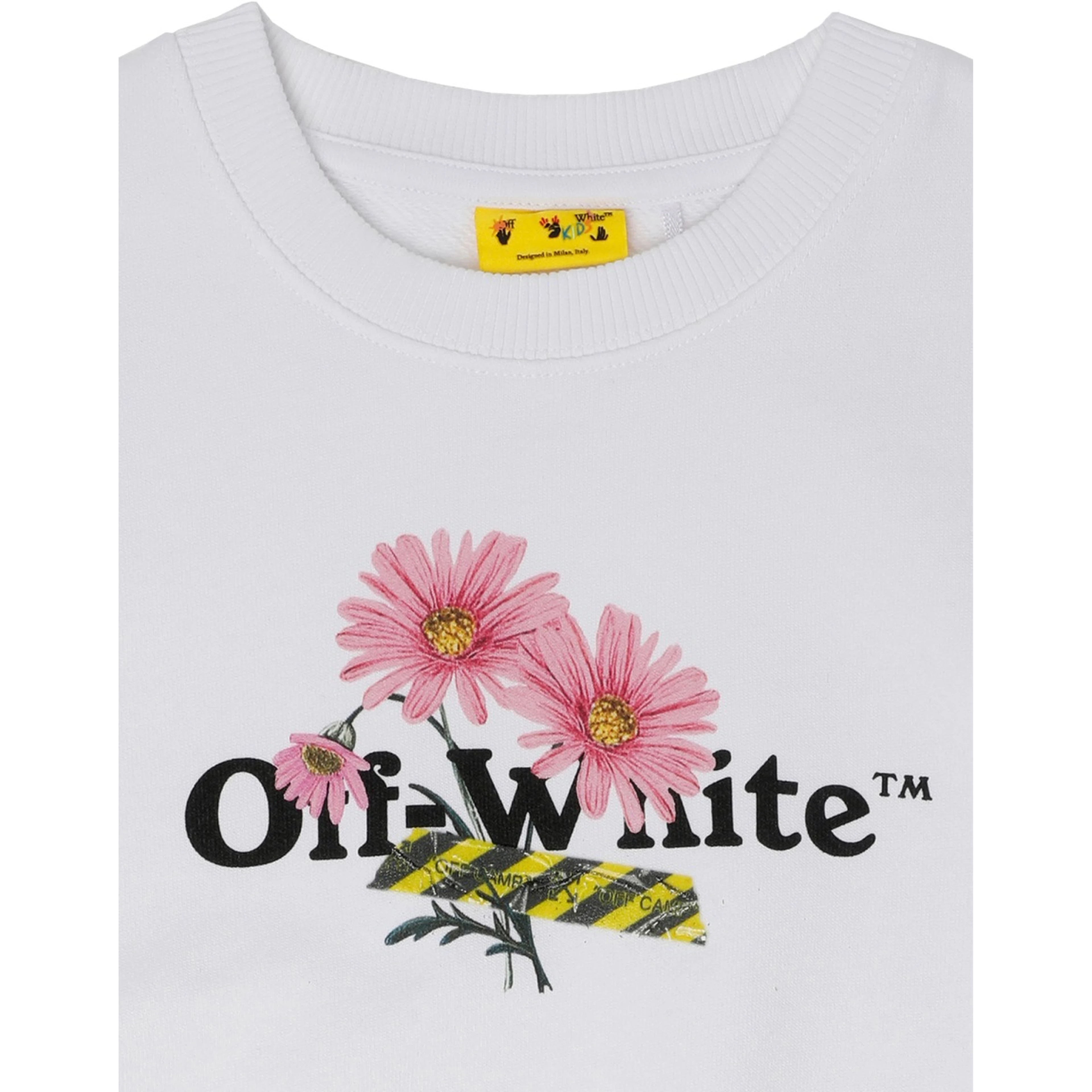 daisy logo box crew