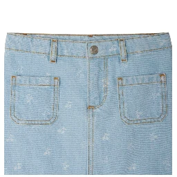 skirt tison skirt