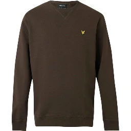 Brown Cotton Sweatshirt