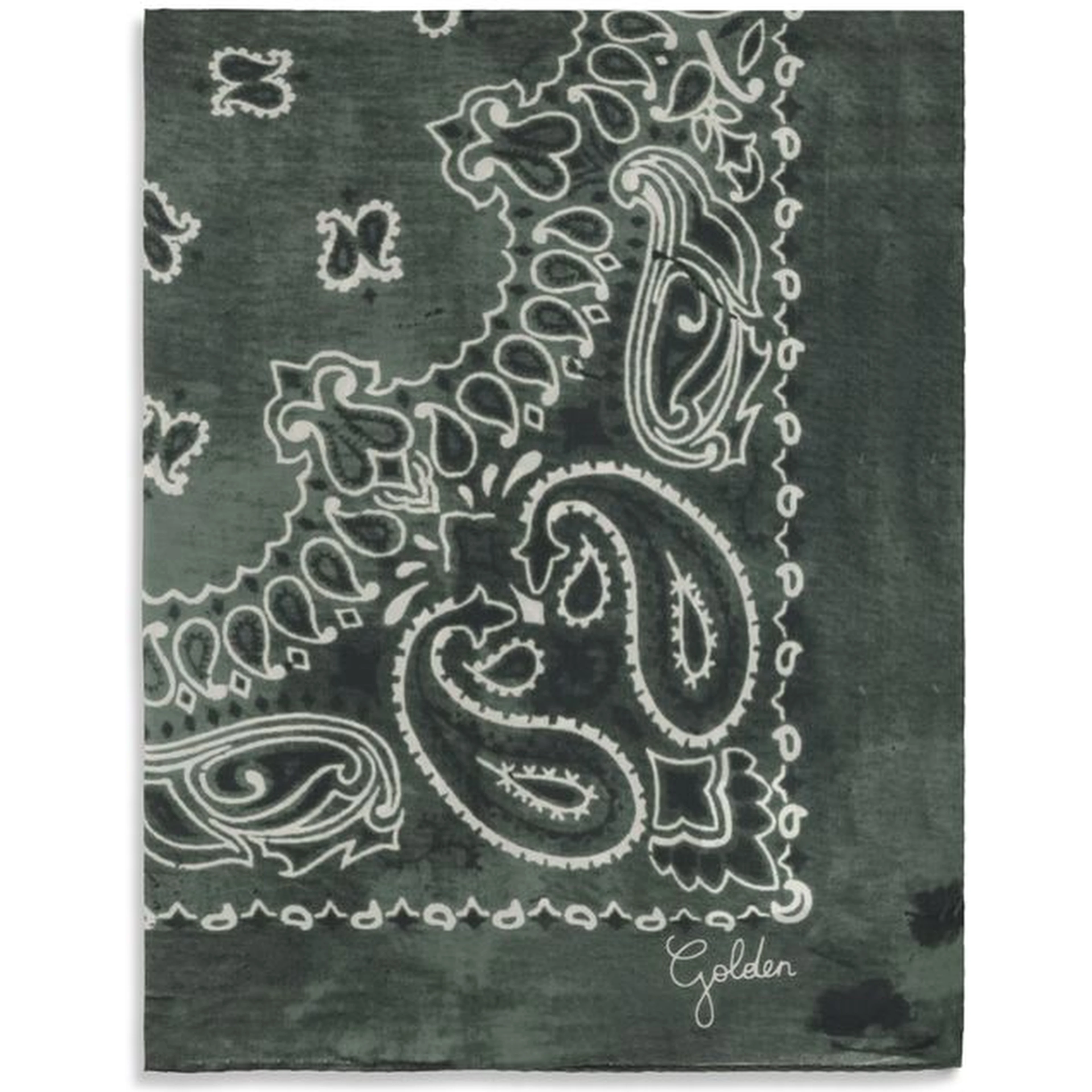 Bicolor Silk Scarf