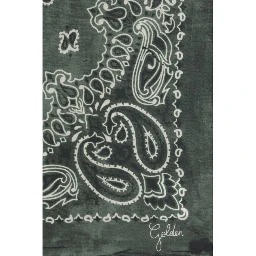 Bicolor Silk Scarf