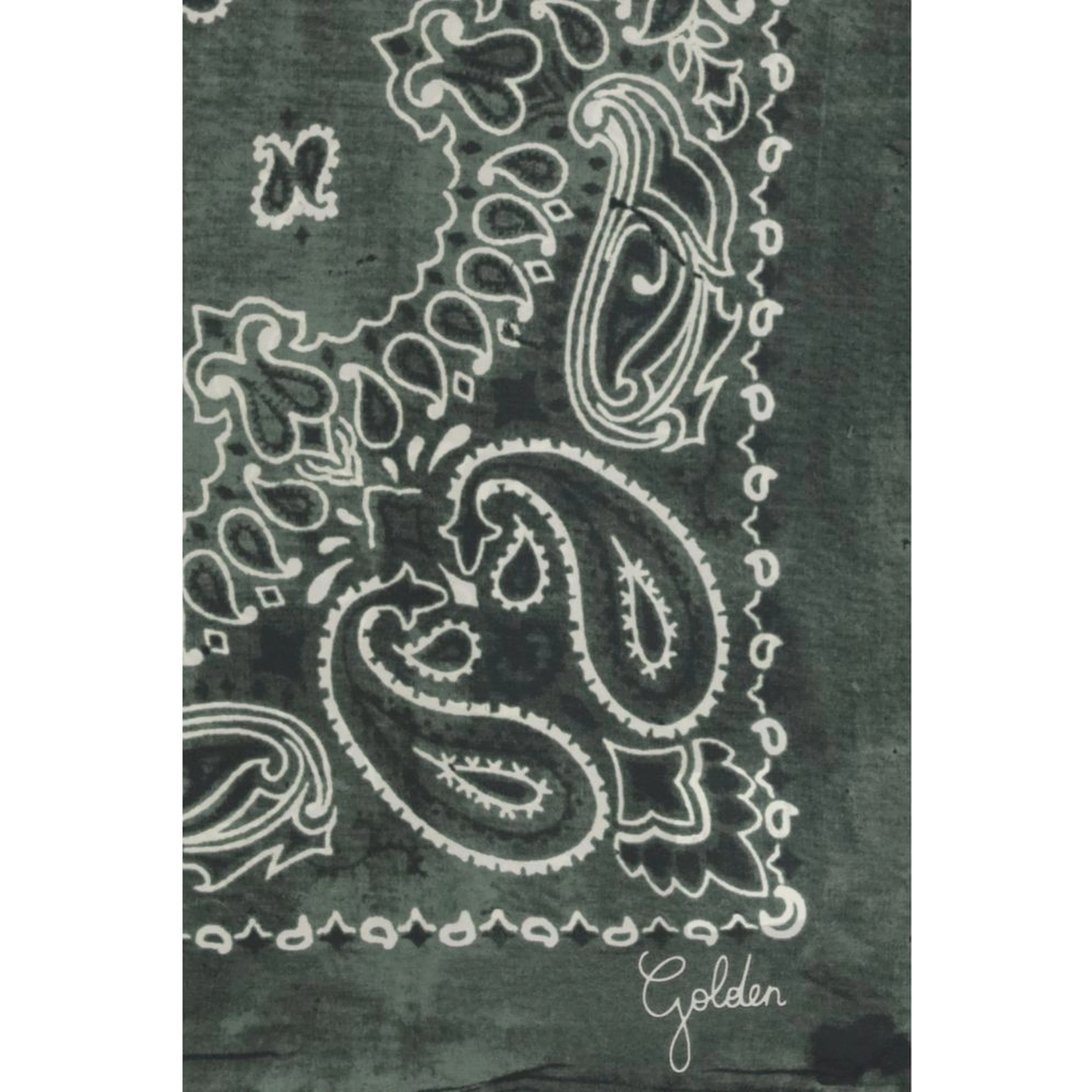 Bicolor Silk Scarf