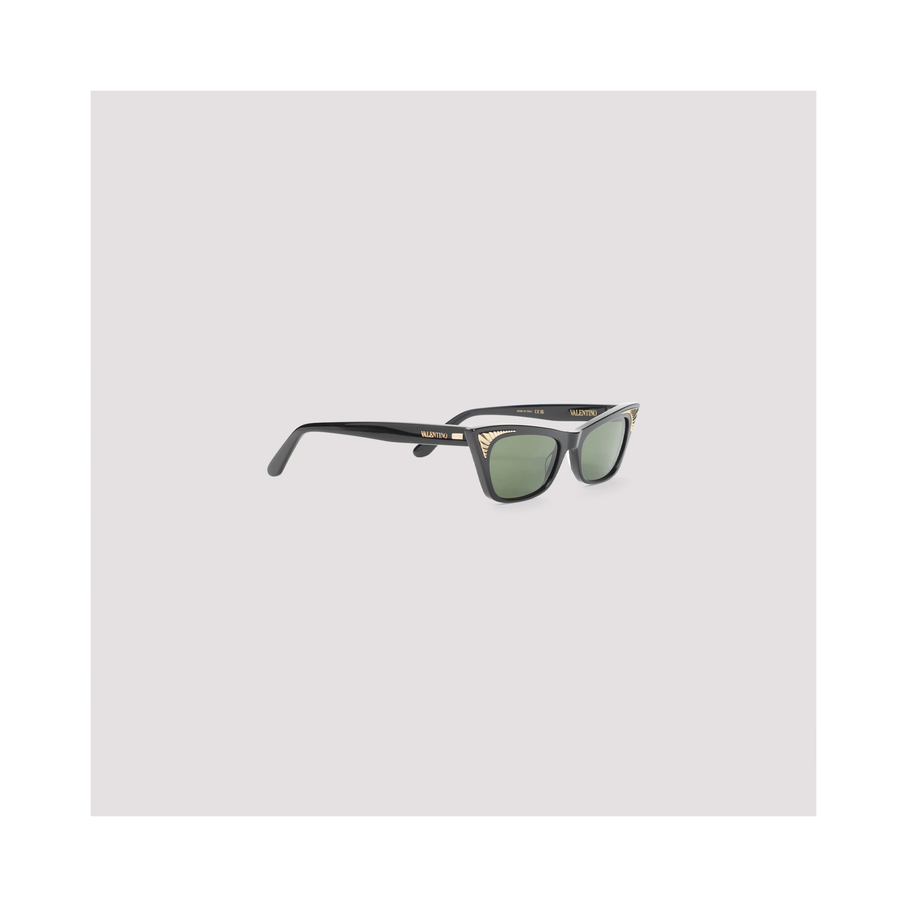 Valentino Garavani Acetate Sunglasses