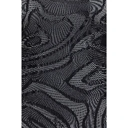 Black Polyamide Bodysuit