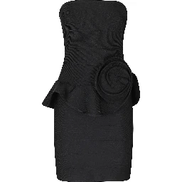 ROSE TUBE MINI DRESS